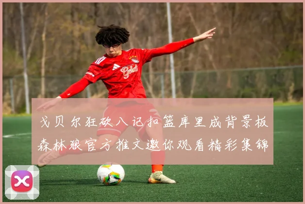 戈贝尔狂砍八记扣篮库里成背景板森林狼官方推文邀你观看精彩集锦